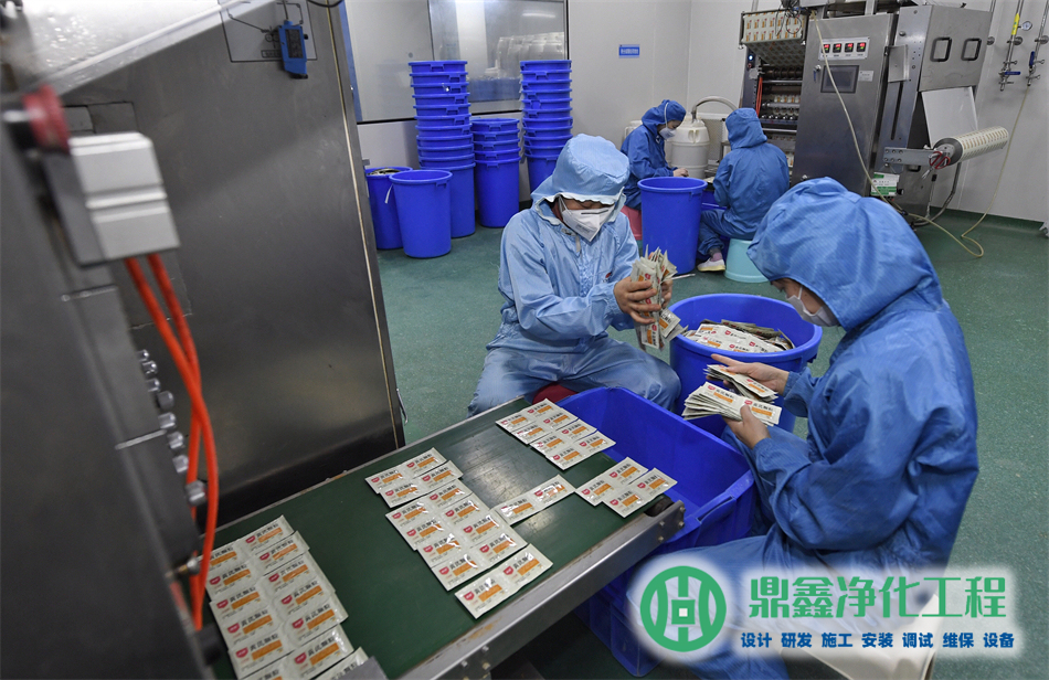 洁净厂房施工设计要点与案例分析-1