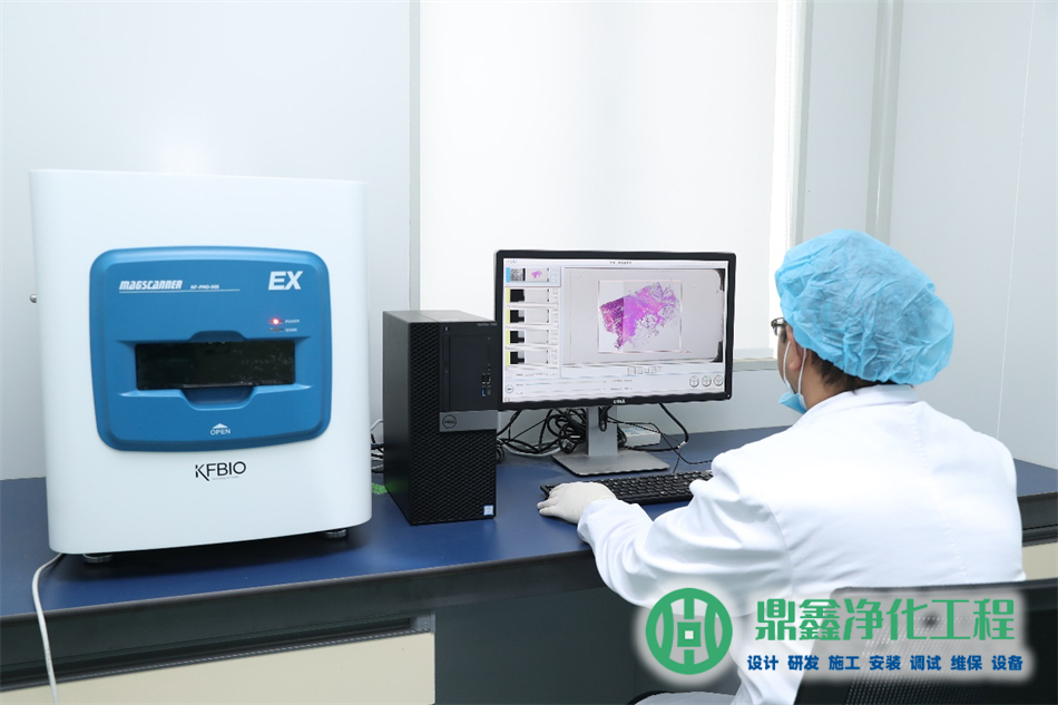 制药车间设计与建造的关键要素解析-1